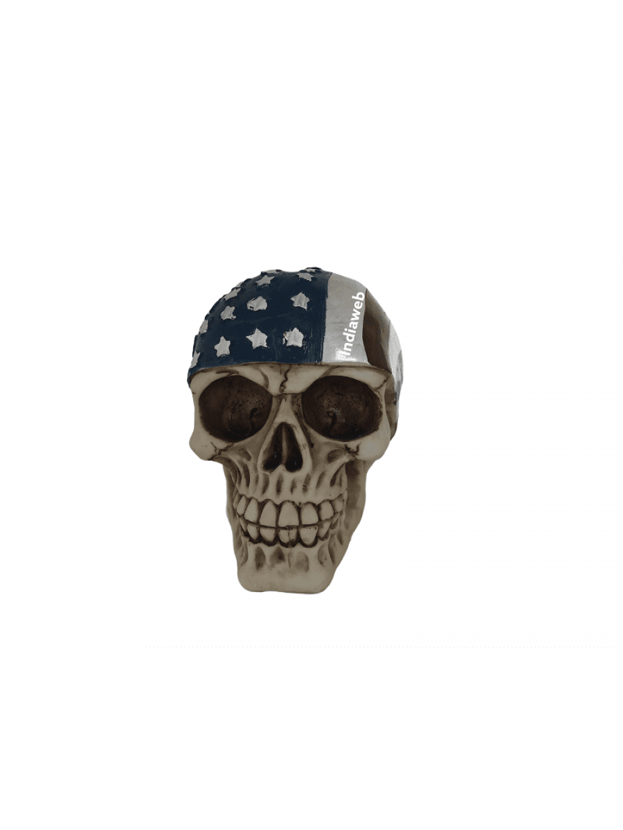 CAVEIRA DECORATIVA AMERICANO 10,5x14,5x11,5 cm
